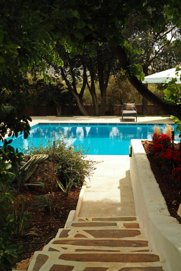 Villa Oasis With Large Pool Athenian Riviera Lagonissi Lagonisi Exterior foto